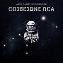 Александр Богомолов - Созвездие пса