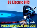DJ Electric BITS - Track 4 Party Electrical Bits