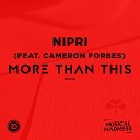 Nipri feat Cameron Forbes Lewis - More Than This Firelite Remix