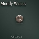 Muddy Waters - Can T Be Satisfied Original Mix