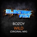 Bozoy - Wild Original Mix
