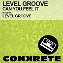 Level Groove - Can You Feel It Original Mix