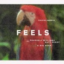 Calvin Harris and Pharrell Williams feat Katy Perry Big… - Feels Denis First Remix Radio Record Cover