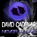 David Cadenas - Nice Day To Be Born Original Mix