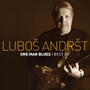 Lubo Andr t feat Ramblin Rex - Blues Time Live