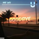 Mr Wu - Goodbye Original Mix