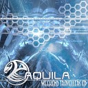 Aquila - Gain Control Shagma Remix