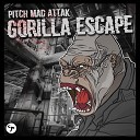 Pitch Mad Attak - In the Groove