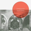 Christine Fellows - Circling Darkness