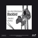Harry Ken Ikomowsa - Blackbird