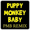 Puppy Monkey Baby - P M B Remix