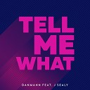 Danmann feat J Sealy - Tell Me What