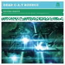 Dead C A T Bounce - Solution Boylerz Remix