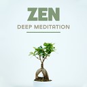 Mindfulness Meditation Music Spa Maestro Mindfullness Meditation… - Jewels of Wisdom