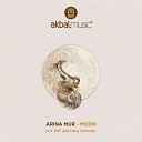 Arina Mur - Moon Hauy Remix