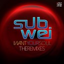 SubWei - I Want Your Soul Erick Fabbri Edson Pride…