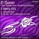 E Sonic feat Stylez 88 Bricks Sarah Jane - 2 Many Dj s Original Mix