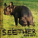 Seether - Safe To Say I ve Had Enough