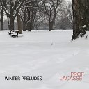 Prof Lacasse - Falling Snow