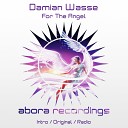 Damian Wasse - For The Angel Radio Edit