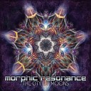 Morphic Resonance - The City Of Moons Original Mix