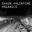 Shaun Valentine - Trespass Radio Edit