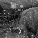 The Pines - Banks of the Ohio