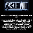 Steal Vybe - Budakas Original Mix