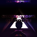 FederFunk - Cornerstone of House Original Mix