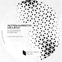 Matthew Harrington - Cotton Fields Original Mix