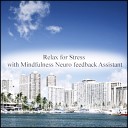 Mindfulness Neuro Feedback Assistant - Envelope Delicateness Original Mix