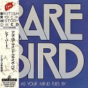 Rare Bird - I m Thinking