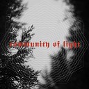Community of Light - Ley Loops