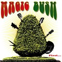 Magic Bush - Everybody Needs a Good Time Now