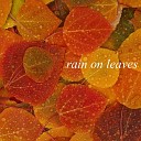 Background Noise From TraxLab - Gentle Sounds of Rain on Leaves Part 15