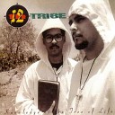 12th Tribe - I C Things
