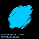 Thunderwave Dannilo - Never Back Again Original Mix