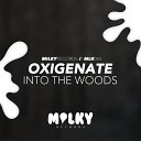 Oxigenate - Into The Woods Original Mix