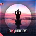 DJ Pey - Little Love Original Mix