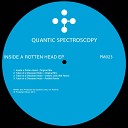 Quantic Spectroscopy - Inside A Rotten Head Original Mix
