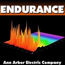 Ann Arbor Electric Company - Endurance Original Mix