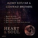Contrast Brothers - Burning In My Soul Original Mix