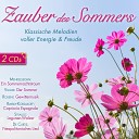 Budapest Strings B la B nfalvi - Die vier Jahreszeiten Der Sommer Konzert g moll Op 8 Nr 2 RV 315 3…