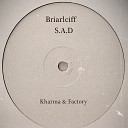 Briarcliff - S A D 2 Original Mix