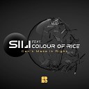 SiLi feat Colour of Rice - Can t Make It Right VIP Mix