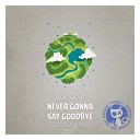 Abriviatura IV - Never Gonna Say Goodbye (Original Mix)