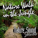 Nature Sound Series - Thailand Jungle Quiet Day Time Ambience