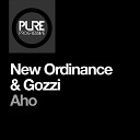 New Ordinance DJ Gozzi - Aho Club Mix