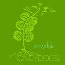 The Honeydogs - Too Close To The Sun