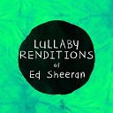 Lullaby Players - Everything Has Changed Instrumental